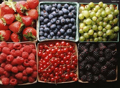 Beneficial effects of berry polyphenols | FDBusiness.com