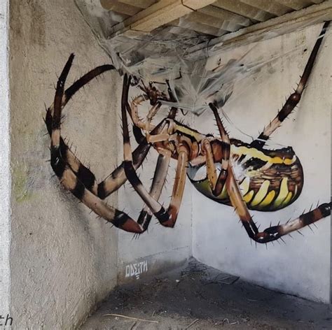 Mural Spider. : Graffiti