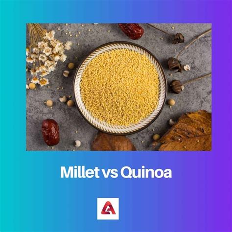 Millet vs Quinoa: Difference and Comparison