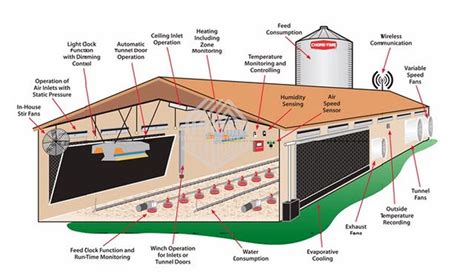 Prefab Light Steel Frame Broiler or Layer House Chicken Farm | Granja ...