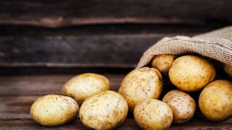 How to identify and treat potato blight: expert tips