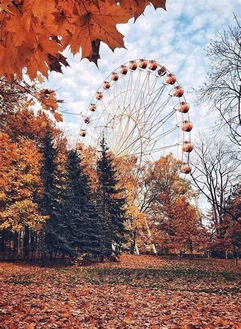 22 beautiful autumn images, autumn image , autumn aesthetic ,autumn ...