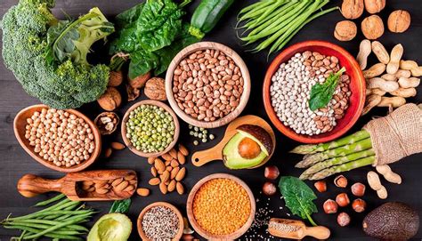 6 Ejemplos de Proteínas Vegetales para Incluir en tu Alimentación - Kibo