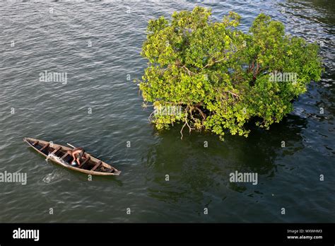 Sunamganj, Bangladesh - September 11, 2019: Tanguar haor located in the ...