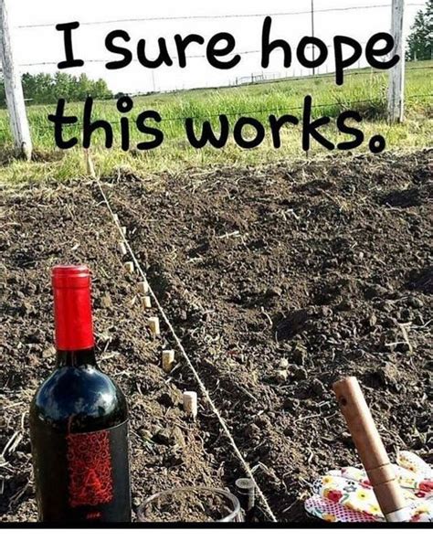 Weekend gardening project | Wine jokes, Wine humor, Wine quotes funny