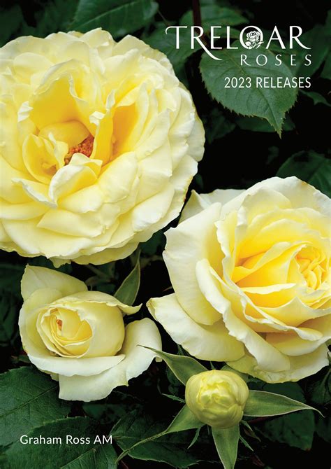 2023 Treloar Roses - Licensed Grower Brochure - Treloar Roses - Page 1 ...