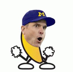 Jim Harbaugh GIFs | Tenor