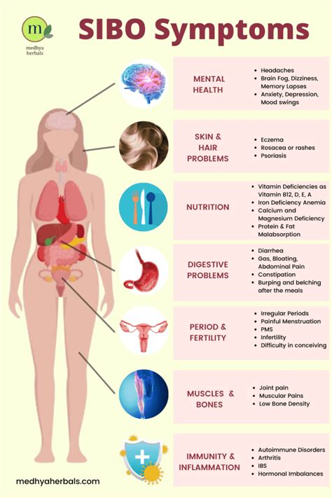 Ayurvedic Treatment for SIBO: Restore Your Gut Health