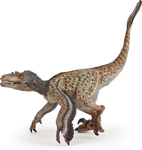 Amazon.com: Papo Feathered Velociraptor : Toys & Games