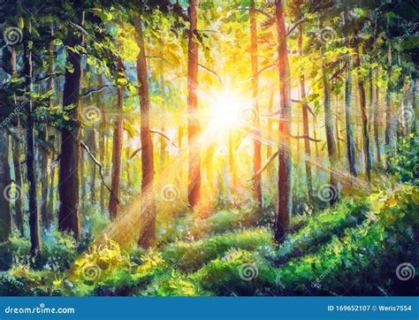 Sunrise in Forest Acrylic Painting Art. Beautiful Sunny Forest Landscape Stock Image - Image of ...