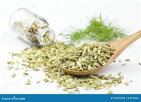 Dried Herb, Fennel Seeds Isolated, Top View Stock Image - Image of ...