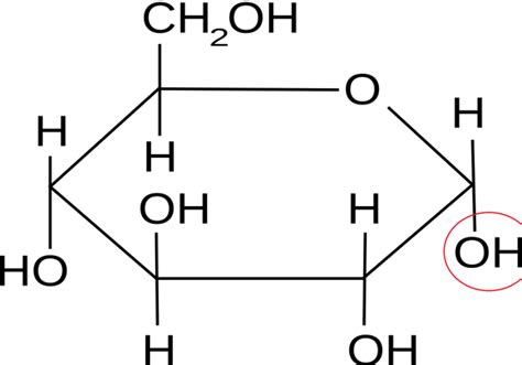 Alpha And Beta Glucose Ring Structure