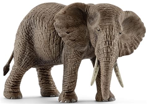 Buy Schleich - African Elephant, Female 14761