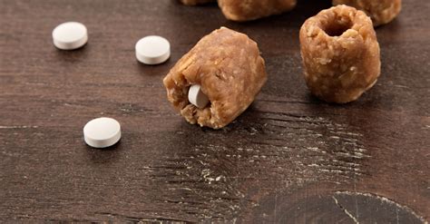 Homemade Pill Pockets Recipe - Homemade Ftempo