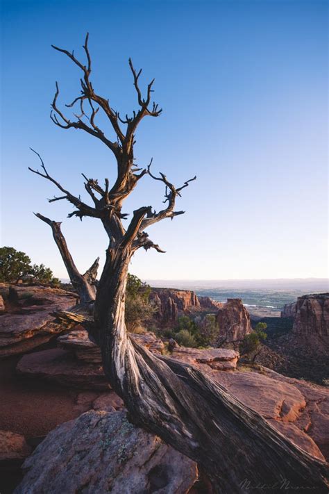 Sunrise in Colorado National Monument[OC][1333X2000] : r/EarthPorn