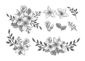 Jasmine Flower Vector Png