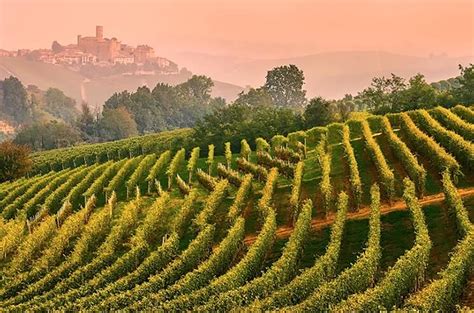 Barolo in depth: Castiglione Falletto plus 10 wines worth seeking out | LaptrinhX / News