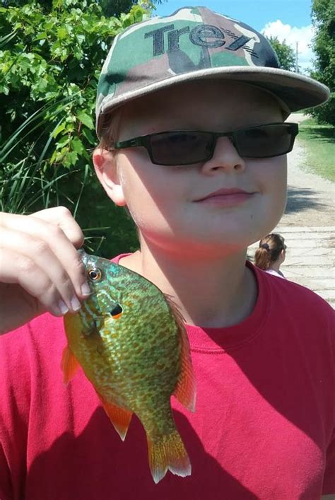 Sunfish, Pumpkinseed MOBassAngler7 | www.roughfish.com