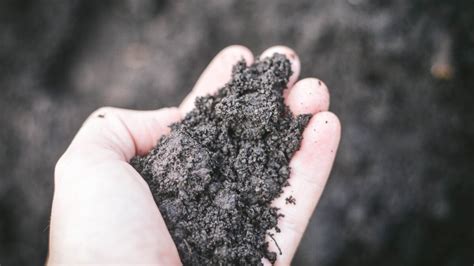 How To Improve Clay Soil | The Rustic Elk