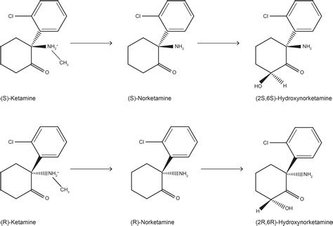 Frontiers | Repurposing Ketamine in Depression and Related Disorders: Can This Enigmatic Drug ...