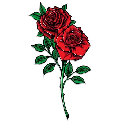 Premium Vector | Red rose stem vector illustration