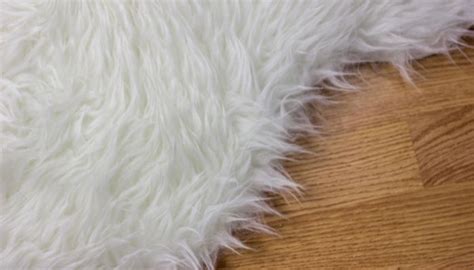 Wool Carpet Cleaning & Maintenance: Do You Know What You Need To Know ...