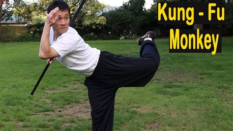 5 Bo Staff Moves to Master Monkey Style - Kung Fu Monkey 🙊 - YouTube