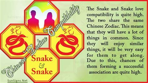 Snake Snake Compatibility: The Same but Still Different - SunSigns.Net