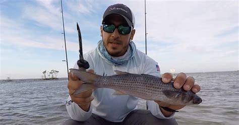 Fishing With Cut Bait: How To Catch Redfish Using Cut Bait [VIDEO]