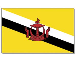 Flag Brunei-Darussalam Animated Flag Gif