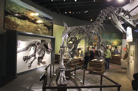 Museum highlights Ice Age fossils - Campus Times