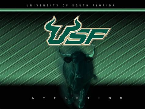 🔥 [50+] USF Bulls Wallpapers | WallpaperSafari