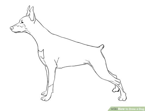 5 Easy Ways to Draw a Dog (with Pictures) - wikiHow