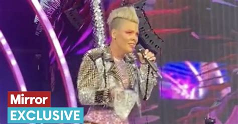 Fan throws ashes onto stage during Pink concert but star has 'touching ...