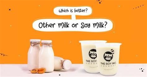 Which Is Better: Almond Milk Vs. Cow’s Milk Vs. Soy Milk – Home to the ...