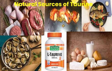 What is Taurine? : Benefits, Natural Sources, Side Effects, and More