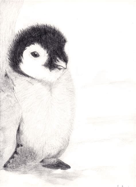 Baby Penguin Drawing by PathofTheAwesomePie on DeviantArt