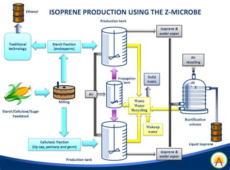 MultiBrief: Bioplastic applications advancing new development routes