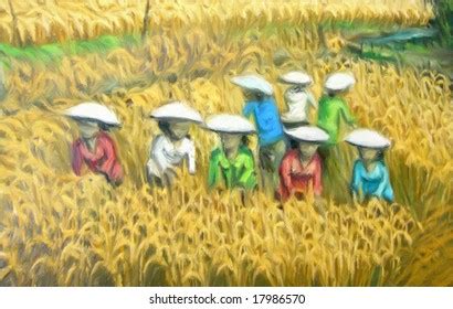 757 Rice Harvest Painting Images, Stock Photos & Vectors | Shutterstock