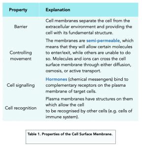 Function of Cell Membrane (A-level Biology) - Bút Chì Xanh