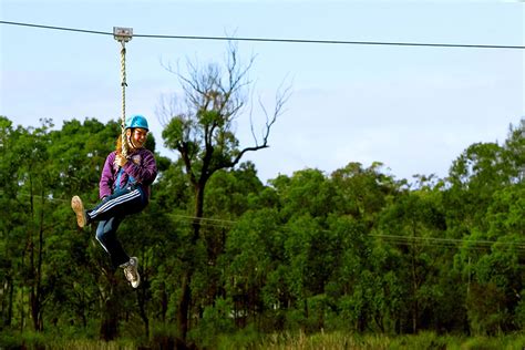 Dual Flying Fox - Aussie Bush Camp