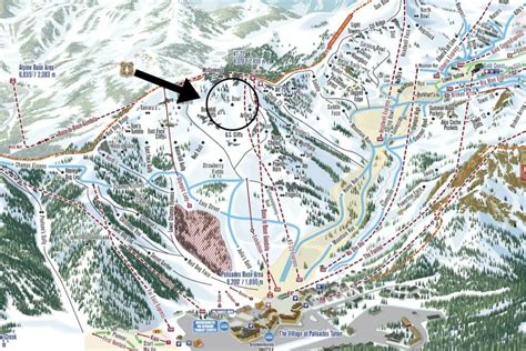 Searches Underway Following Avalanche at California Ski Resort Near ...