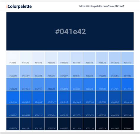 Pantone 282 C Color Palette | Hex Code #041E42