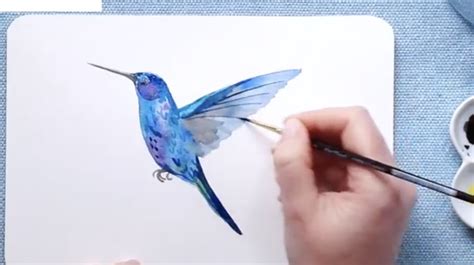 Stopping Time: How to Paint a Watercolor Hummingbird | Skillshare Blog