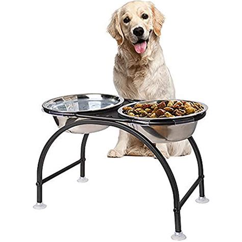 Best Elevated Dog Bowls For Large Dogs - 10Reviewz