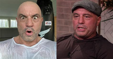 Joe Rogan Opens Up About "Everything He Takes" Including TRT and Peptides