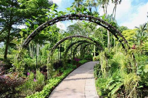 Exploring the Singapore Botanic Gardens | Santa Rita Landscaping