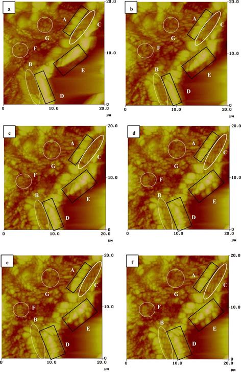 Series of AFM photos captured in the region A in the Fig. 5(a) at (a ...