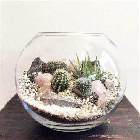 Mini Cactus Terrarium