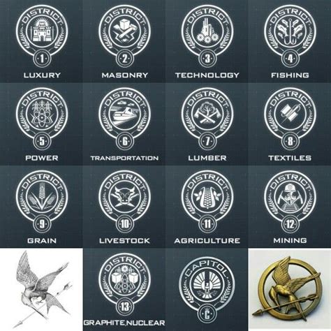 Districts of Panem | Hunger games, Hunger games districts, Hungergames